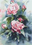 (image for) Watercolor Roses